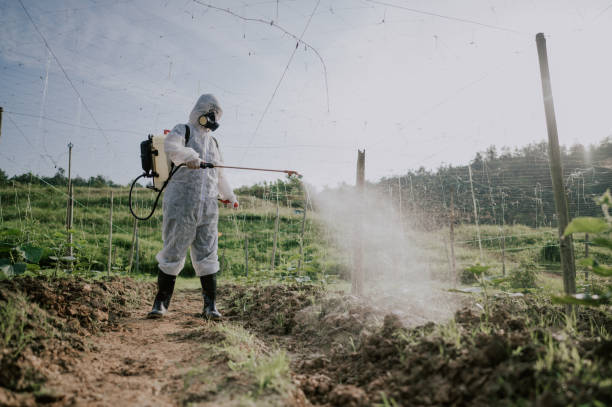Professional Pest Control in Lake Morton Berrydale, WA