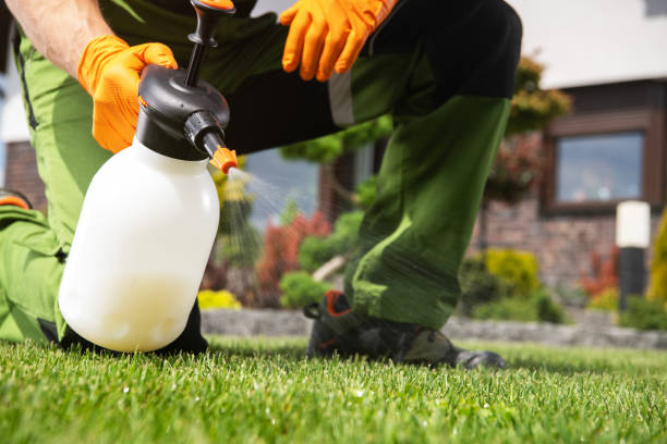 Best Best Pest Control Companies  in Lake Morton Berrydale, WA