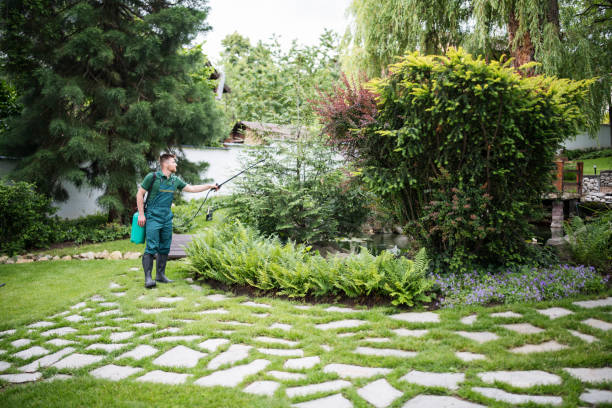 Best Pest Control Near Me  in Lake Morton Berrydale, WA