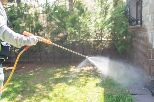 Best Wasp Removal Services  in Lake Morton Berrydale, WA
