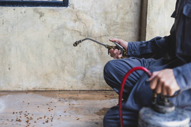Best Best Pest Control Companies  in Lake Morton Berrydale, WA